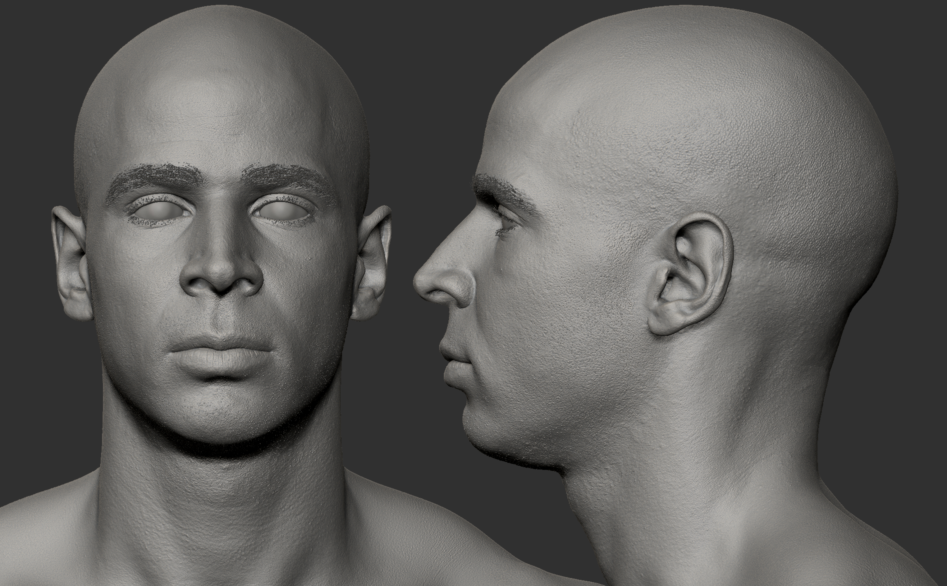 Male Zbrush capture